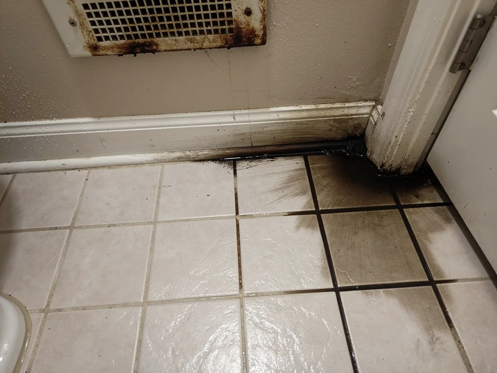 Warning Signs That Sewage Cleanup Is Required